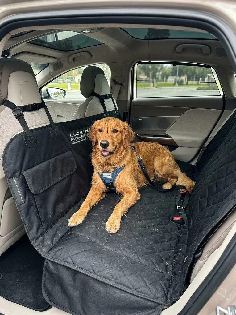 Rear Seat Pet Protector